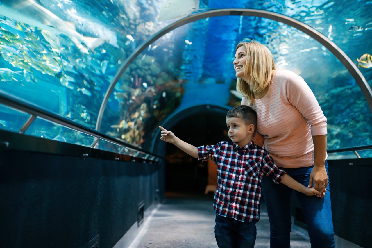 Aquarium of the Pacific