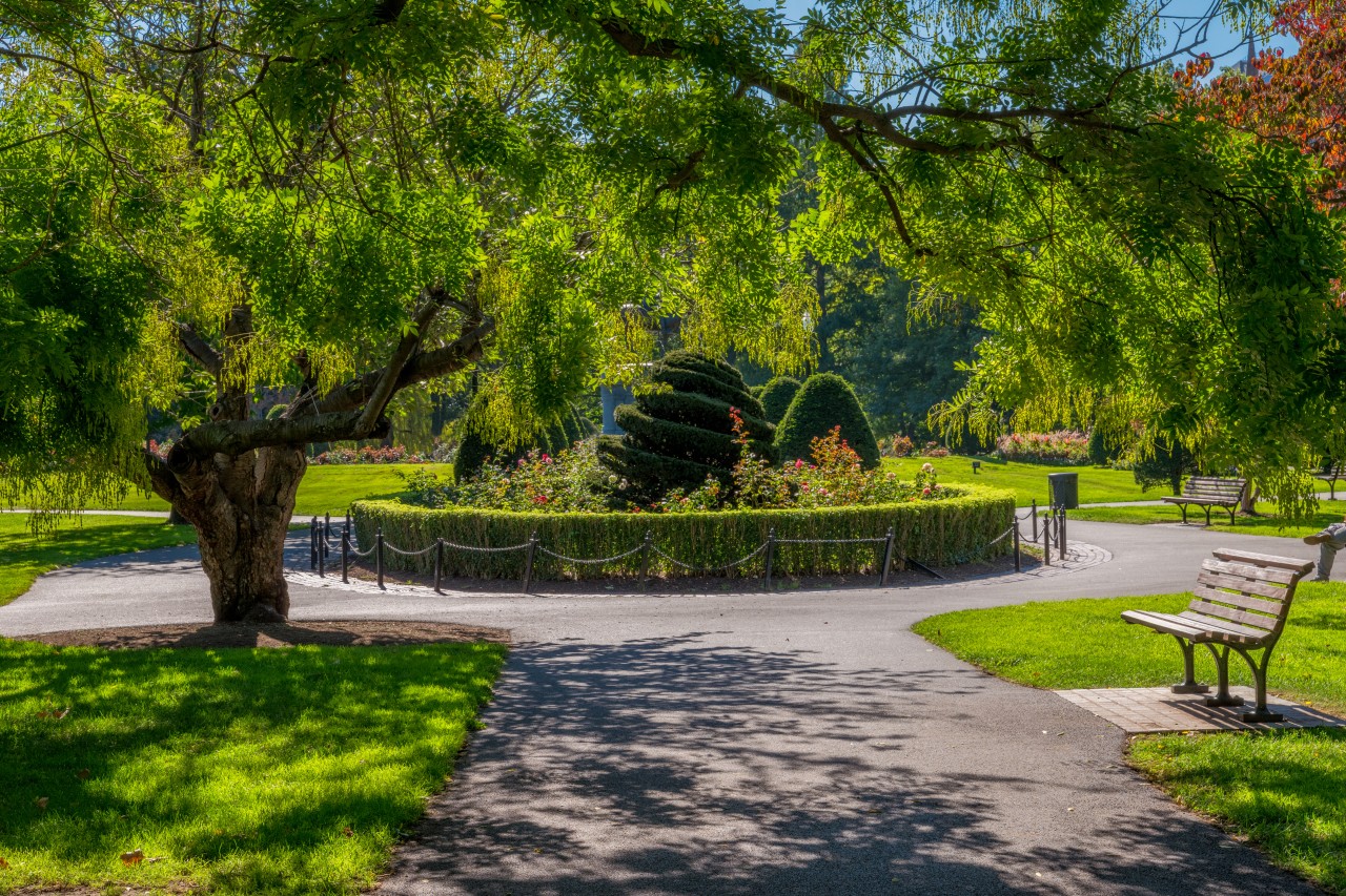 Hillbrook Park